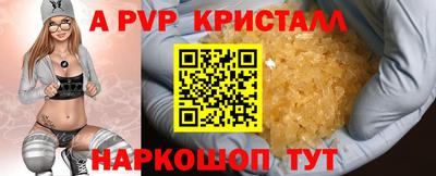 стаф Новокубанск