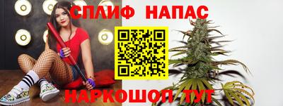стаф Новокубанск