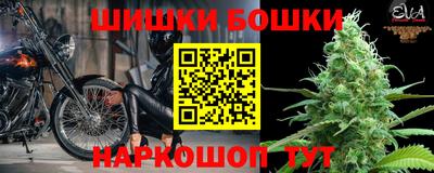 стаф Новокубанск