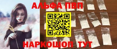 стаф Новокубанск