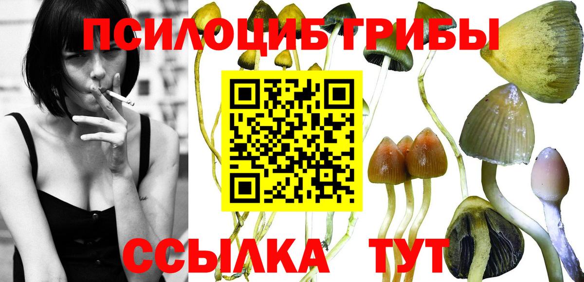 Псилоцибиновые грибы GOLDEN TEACHER  Вход с VPN  Тимашёвск 